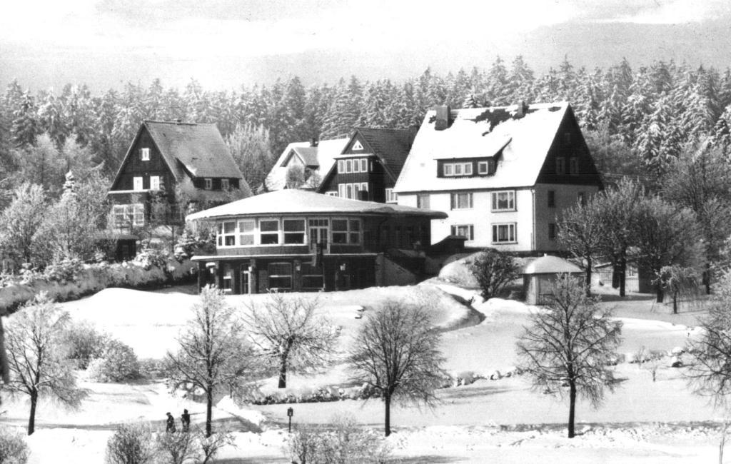 Dein Hotel - Goslar Hahnenklee מראה חיצוני תמונה